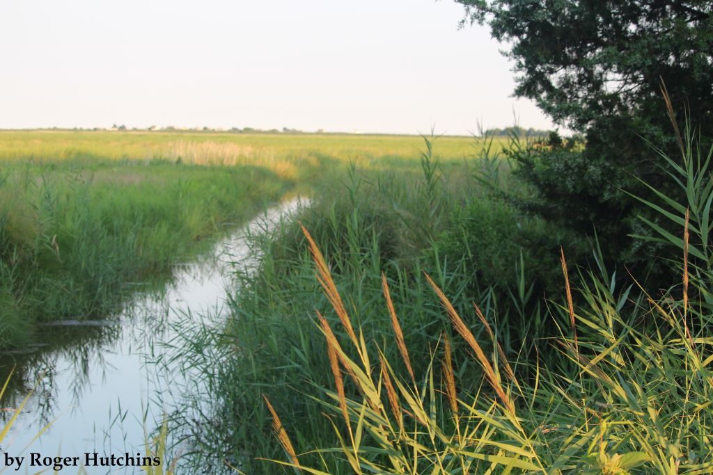 Duane-Loveland_Brecks-Mil-on-Brandywine